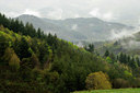 BUITEN BEELD Foto: 94402