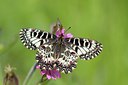 BUITEN BEELD Foto: 94465