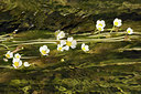 BUITEN BEELD Foto: 94498