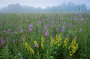 BUITEN BEELD Foto: 94578