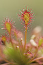 BUITEN BEELD Foto: 94610