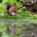 BUITEN BEELD Foto: 94655