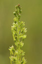 BUITEN BEELD Foto: 94677