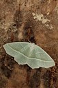 BUITEN BEELD Foto: 94787