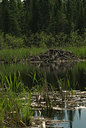 BUITEN BEELD Foto: 94821