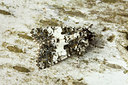 BUITEN BEELD Foto: 94844