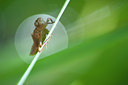 BUITEN BEELD Foto: 95060