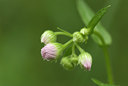 BUITEN BEELD Foto: 95384