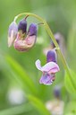 BUITEN BEELD Foto: 95406