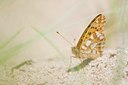 BUITEN BEELD Foto: 95431