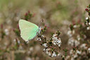 BUITEN BEELD Foto: 95478