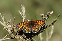 BUITEN BEELD Foto: 95483