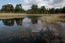 BUITEN BEELD Foto: 95495