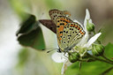 BUITEN BEELD Foto: 95527