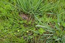 BUITEN BEELD Foto: 95568
