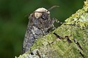 BUITEN BEELD Foto: 95694