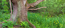 BUITEN BEELD Foto: 95812