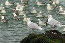 BUITEN BEELD Foto: 95823