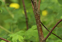 BUITEN BEELD Foto: 95851