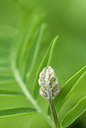 BUITEN BEELD Foto: 95861