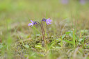 BUITEN BEELD Foto: 95933