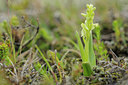 BUITEN BEELD Foto: 95952