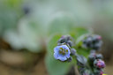BUITEN BEELD Foto: 95963