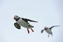BUITEN BEELD Foto: 96015