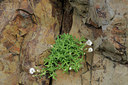 BUITEN BEELD Foto: 96019