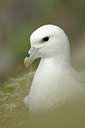 BUITEN BEELD Foto: 96079