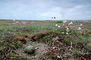 BUITEN BEELD Foto: 96155