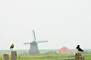 BUITEN BEELD Foto: 96170