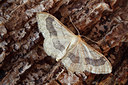 BUITEN BEELD Foto: 96222