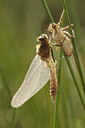 BUITEN BEELD Foto: 96281