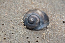 BUITEN BEELD Foto: 96371