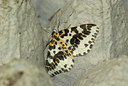 BUITEN BEELD Foto: 96391