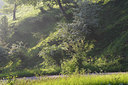 BUITEN BEELD Foto: 96400