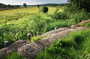 BUITEN BEELD Foto: 96435