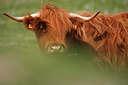 BUITEN BEELD Foto: 96476