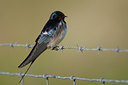 BUITEN BEELD Foto: 96498