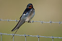 BUITEN BEELD Foto: 96505