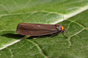 BUITEN BEELD Foto: 96540