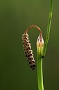 BUITEN BEELD Foto: 96552