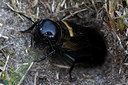 BUITEN BEELD Foto: 96596