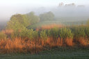 BUITEN BEELD Foto: 96602