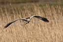 BUITEN BEELD Foto: 96618