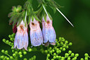 BUITEN BEELD Foto: 96642