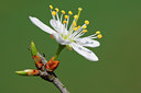 BUITEN BEELD Foto: 96644