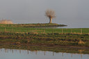 BUITEN BEELD Foto: 96669