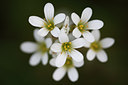 BUITEN BEELD Foto: 96694